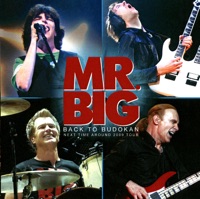Mr Big