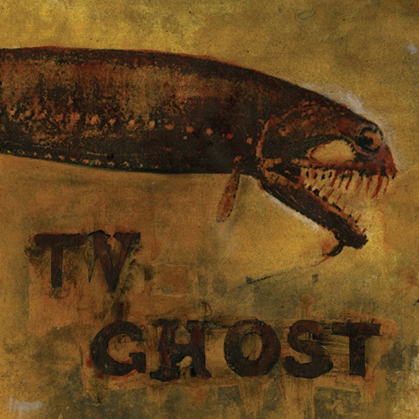 TV Ghost — Cold Fish