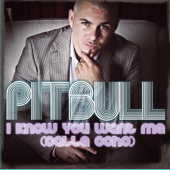 I Know You Want Me (Calle Ocho)
