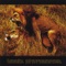 Alphamale - Boole lyrics