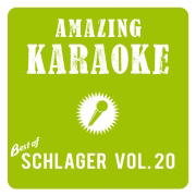 Du kannst nicht immer 17 sein (Karaoke Version) [Originally Performed By Chris Roberts] - Amazing Karaoke