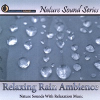 Relaxing Rain Ambience (With Relaxing Music) - Nature Sound Series