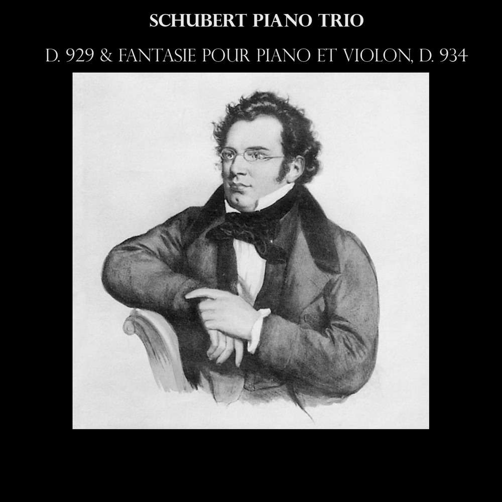 Обложка альбома «Schubert: Piano Trio, D. 929 & Fantaisie pour piano et violon, D. 934» — Rudolf Serkin, Adolf Busch & Hermann Busch