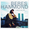 A Day In the Life - Beres Hammond