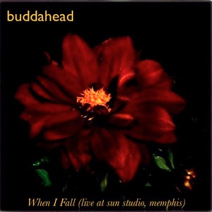 When I Fall (live At Sun Studio, Memphis) - Single