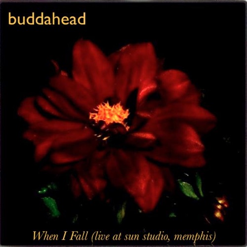 When I Fall (live At Sun Studio, Memphis) - Single