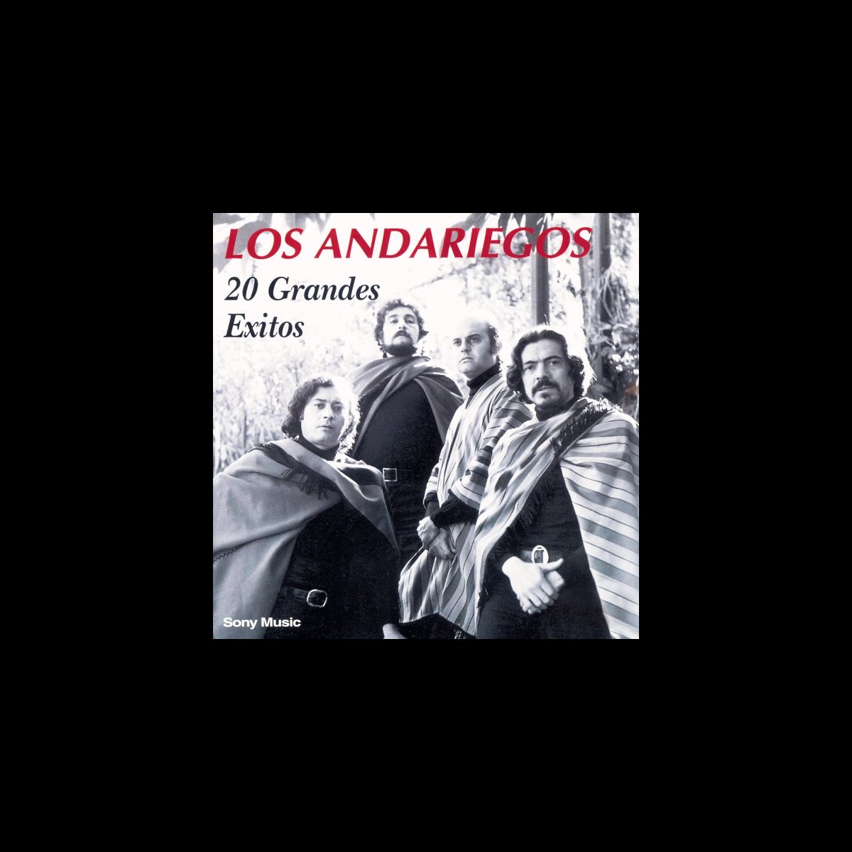 ‎20 Grandes Exitos - Album by Los Andariegos - Apple Music