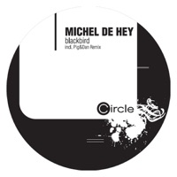 Blackbird - Michel de Hey