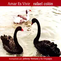 Bendito Amor — Rafael Colon