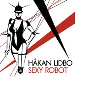 Sexy Robot (Remix) artwork