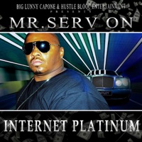 Internet Platinum - Mr. Serv-On