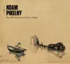 Noam Pikelny - Milford's Reel