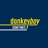 Donkeyboy - Sometimes artwork