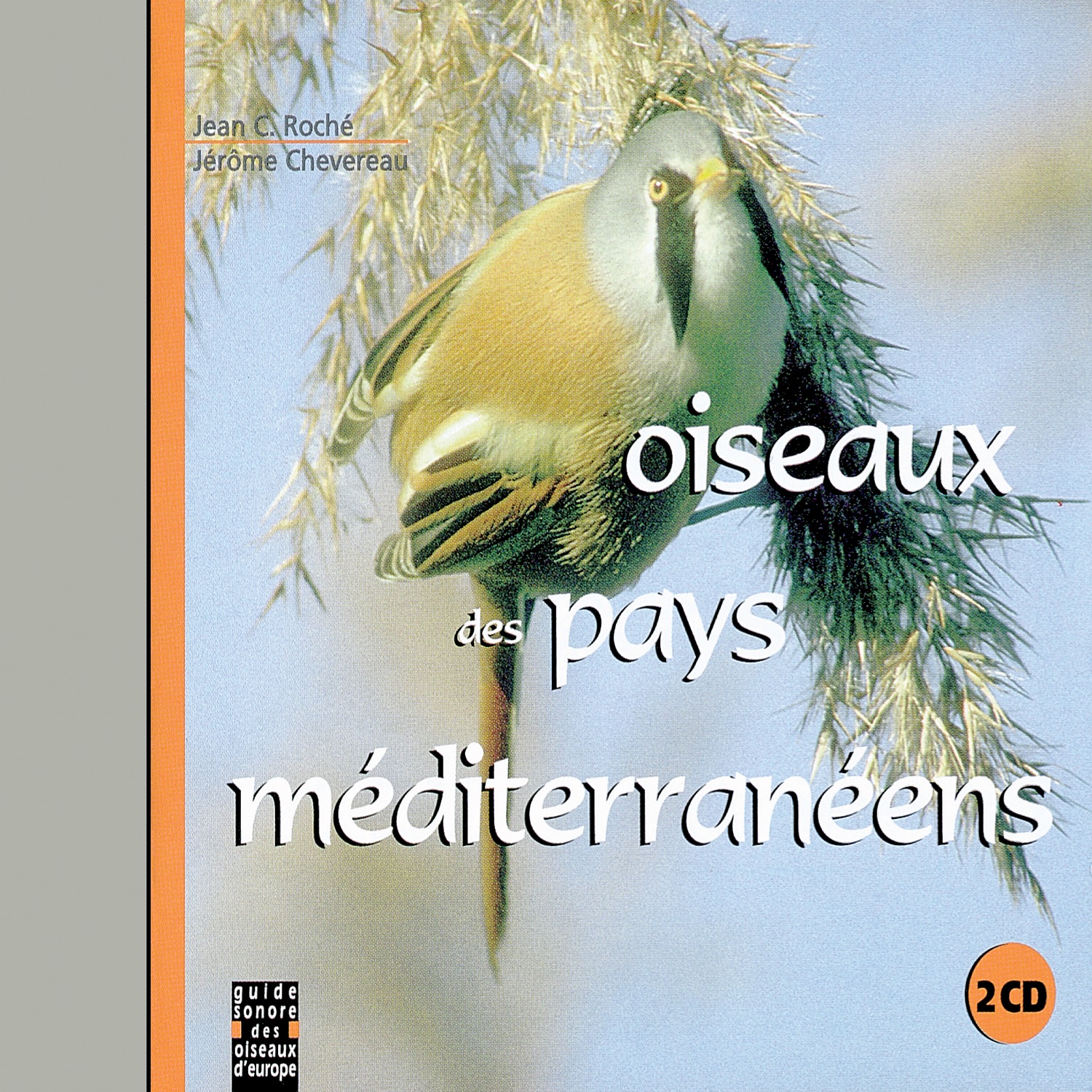 Oiseaux Des Pays Méditerranéens
