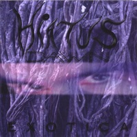 Hiatus Dawn - Skin