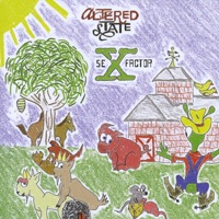 seX-Factor - Altered State