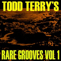 Todd Terry's Rare Grooves Vol I - Todd Terry