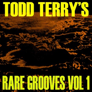 Todd Terry's Rare Grooves Vol I