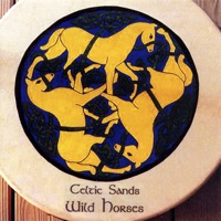 Wild Horses by Celtic Sands on Apple Music
