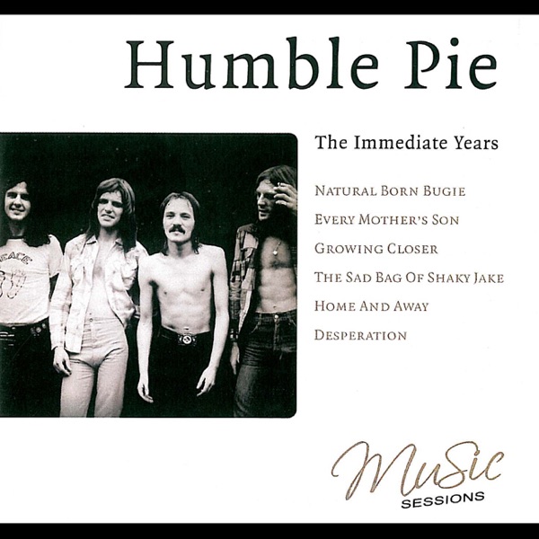 The Immediate Years cover