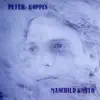 Peter Koppes - The Wise and the Wicked