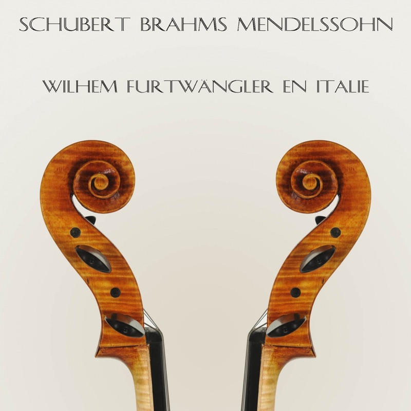Concerto pour violon et orchestre, in E Minor, Op. 64 : I. Allegro