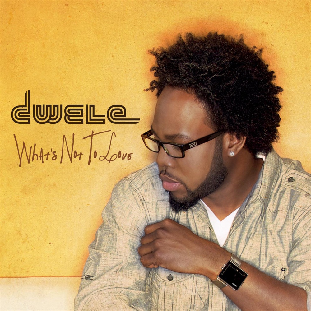 Обложка альбома «What's Not to Love - Single» — Dwele