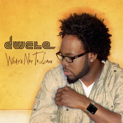 What's Not to Love - Single - Dwele