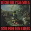 Surrender Love