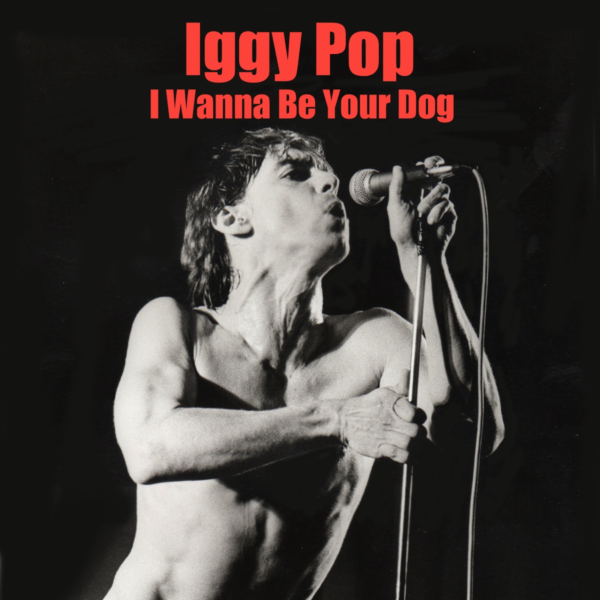 Pochette du titre I Wanna Be Your Dog (Fast Version) [Outtake]