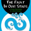 The Fault in Our Stars - Single