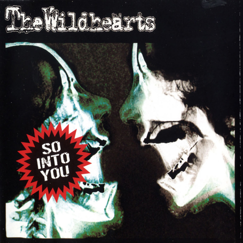 The Wildhearts - Apple Music