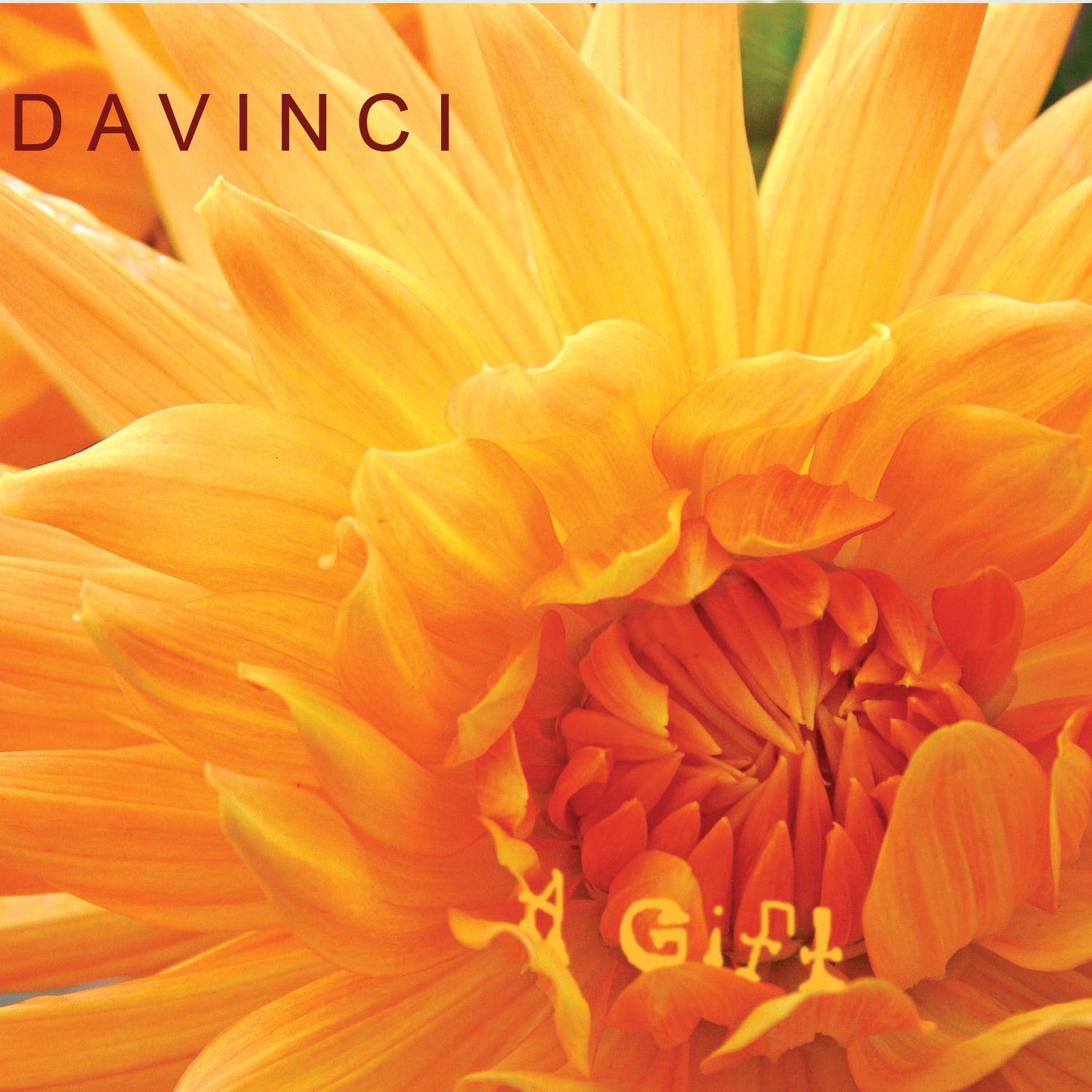 A Gift by Da Vinci album cover