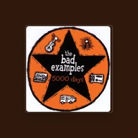 The Bad Examples