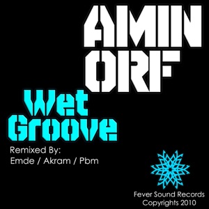 Wet Groove - Single