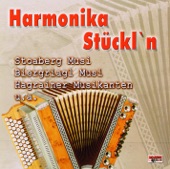 Harmonika Stückl'n