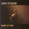 Lucky Peterson A Woman Don't Care Heart Of Pain