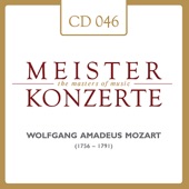 Konzert für Klavier und Orchester Nr. 24 c-Moll, KV 491: Allegretto artwork