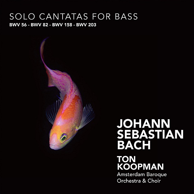 Обложка альбома «Bach: Solo Cantatas for Bass» — Ton Koopman, Amsterdam Baroque Orchestra & Amsterdam Baroque Choir