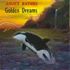 Anjey Satori - Searching for the Rest