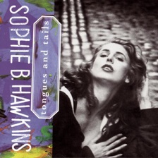 Damn I Wish I Was Your Lover by Sophie B. Hawkins — cover art