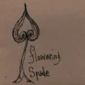Flowering Spade