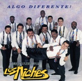 Algo Diferente artwork