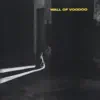 Wall of Voodoo - The Passenger