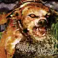 American Dog