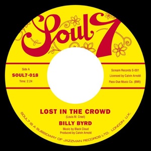 Lost In the Crowd