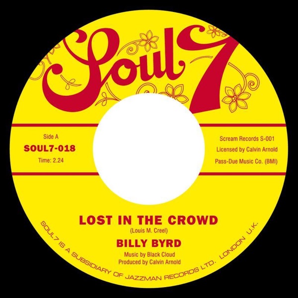 Lost In the Crowd