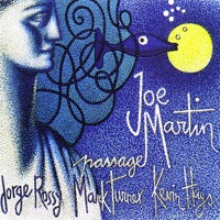 Passage - Joe Martin