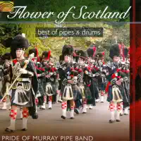 Joe McGann's Fiddle/Old Hag at the Spinning Wheel/Braes 'O' M... — Pride of Murray Pipe Band