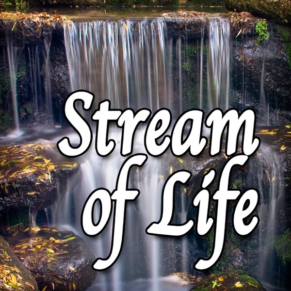 Stream of Life (Nature Sounds)